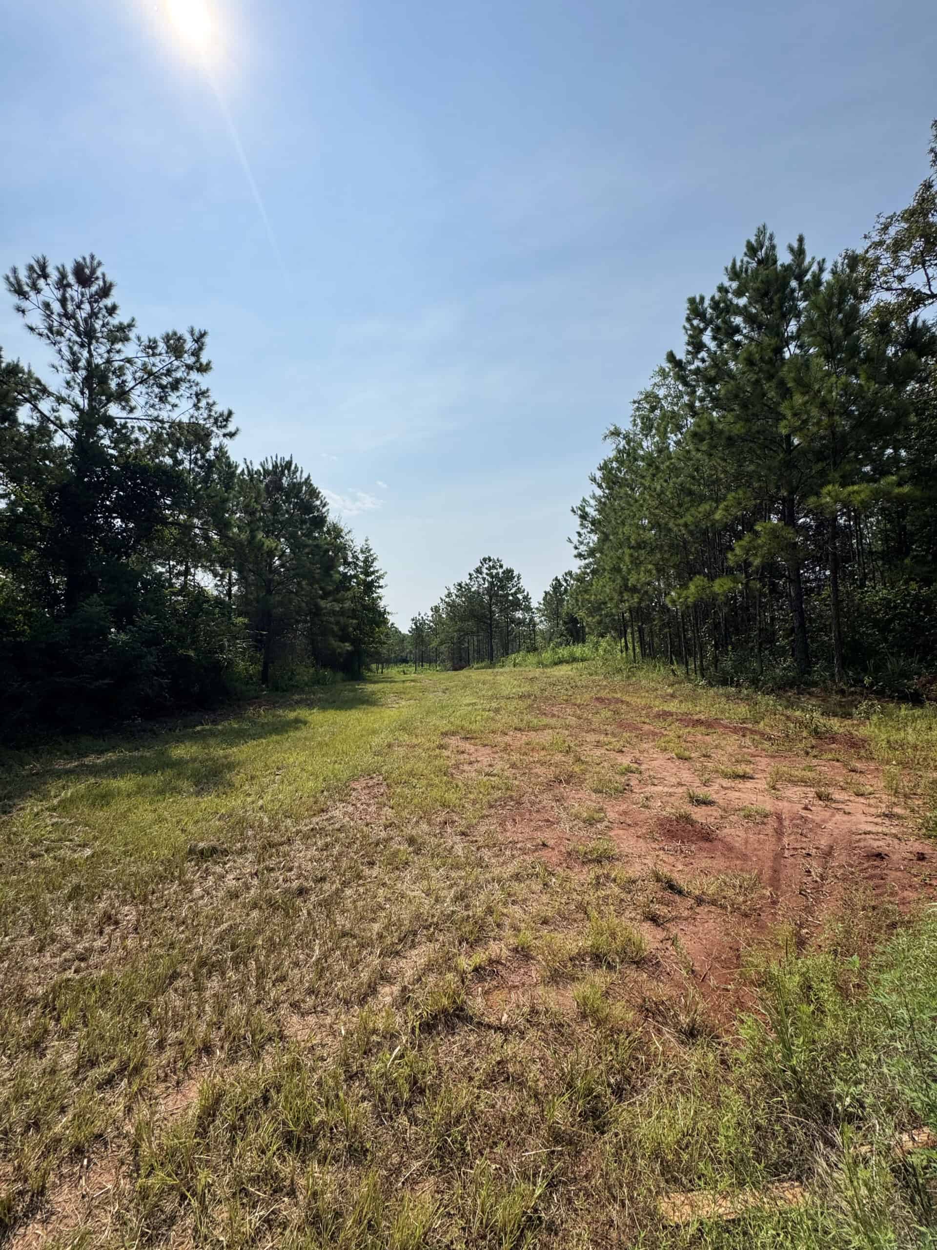 Discover an outstanding 130-acre recreational and hunting property in Stewart Cty