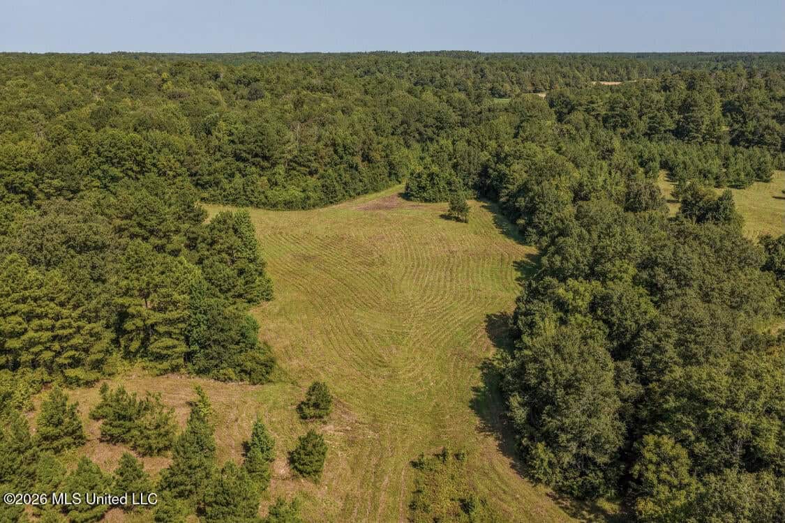 52.25± Acres in Copiah County, MS Near Hazlehurst