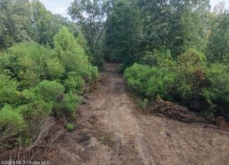 82± Acre Hunting Property in Wilkinson County, MS