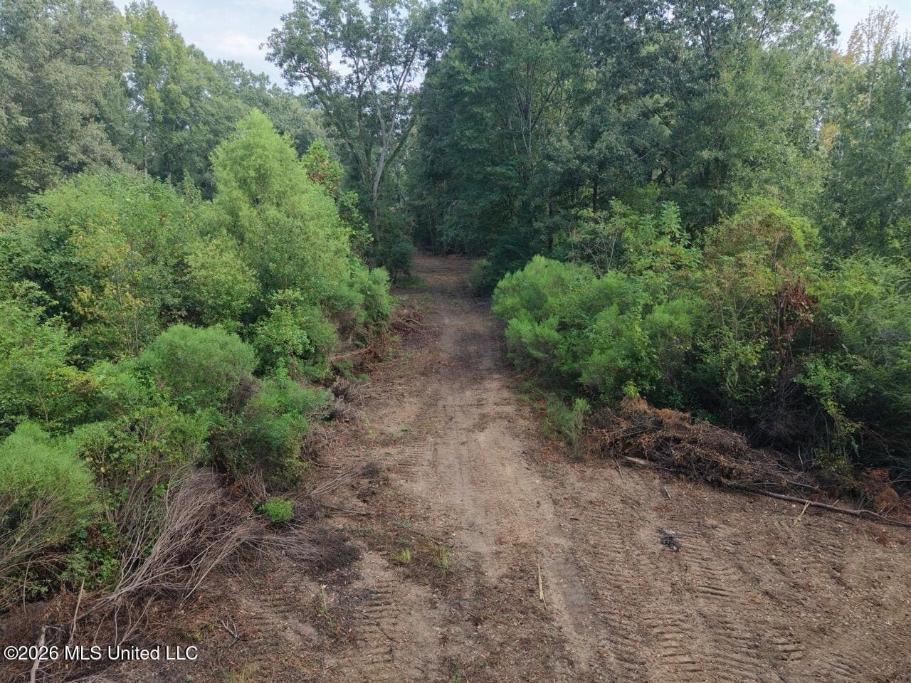 82± Acre Hunting Property in Wilkinson County, MS