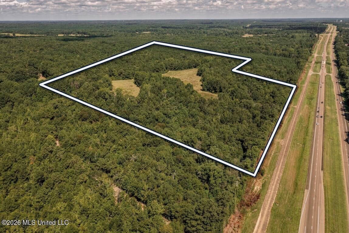 HWY 49 Land for Sale Simpson County, MS