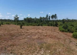 147± Acre Hunting Property in Plainview, LA