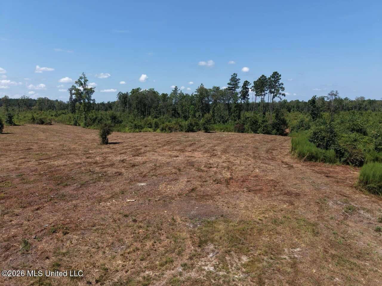 147± Acre Hunting Property in Plainview, LA