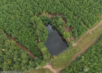 53± Acre Hunting Property Near Centreville, MS