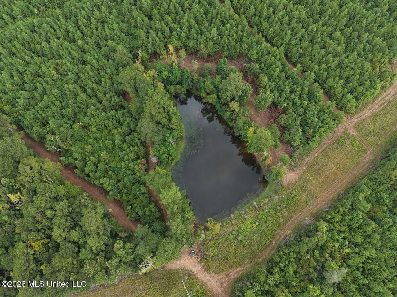53± Acre Hunting Property Near Centreville, MS