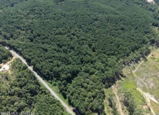 FRANKLIN COUNTY LAND FOR SALE NEAR McCALL CREEK