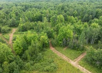 Juneau County WI 80 Acre Camp For Sale