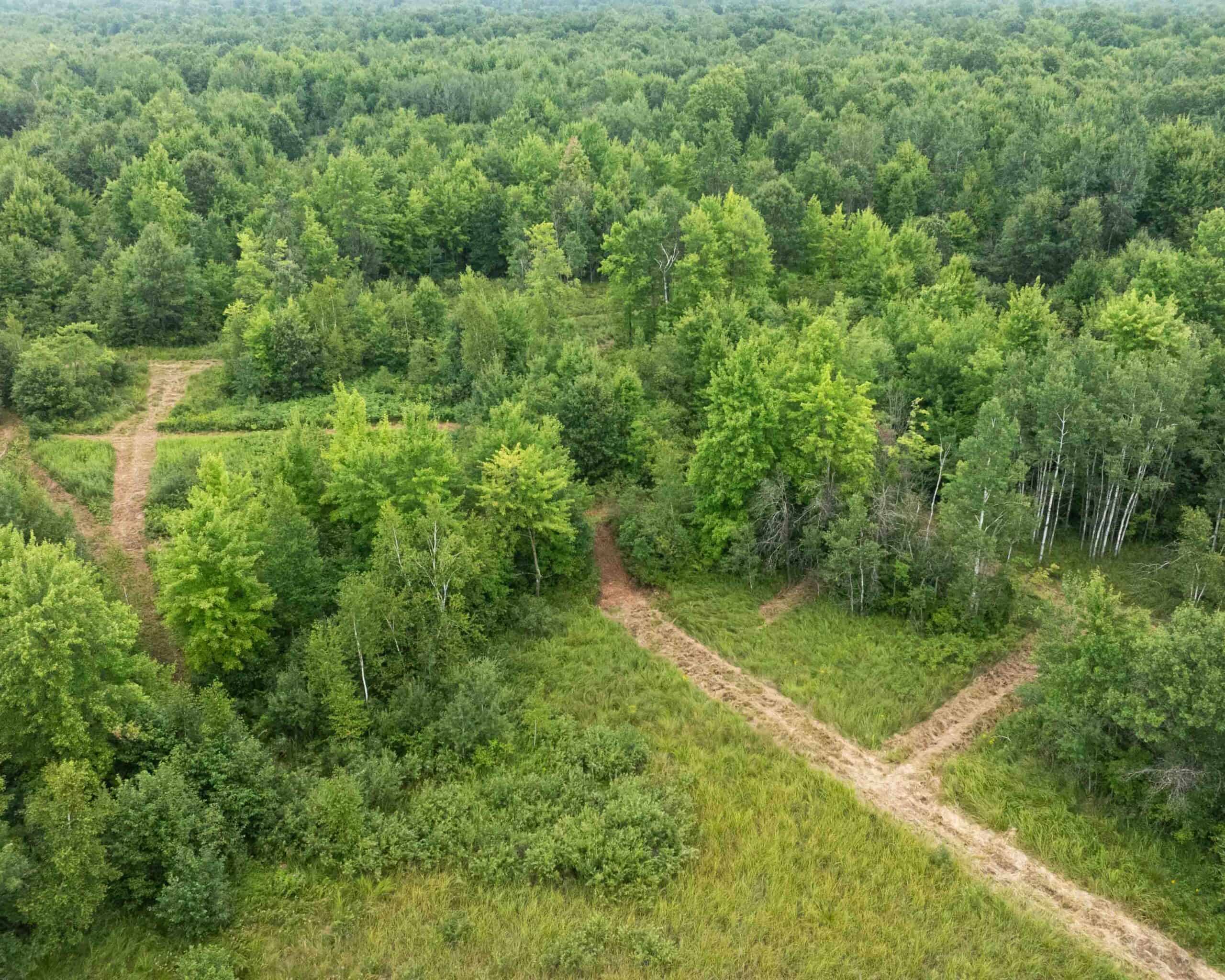 Juneau County WI 80 Acre Camp For Sale