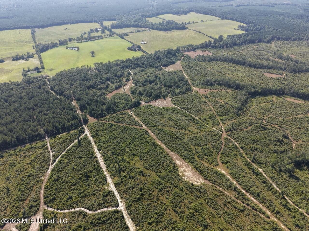 50± Acre Homesite & Hunting Land in Plainview, LA