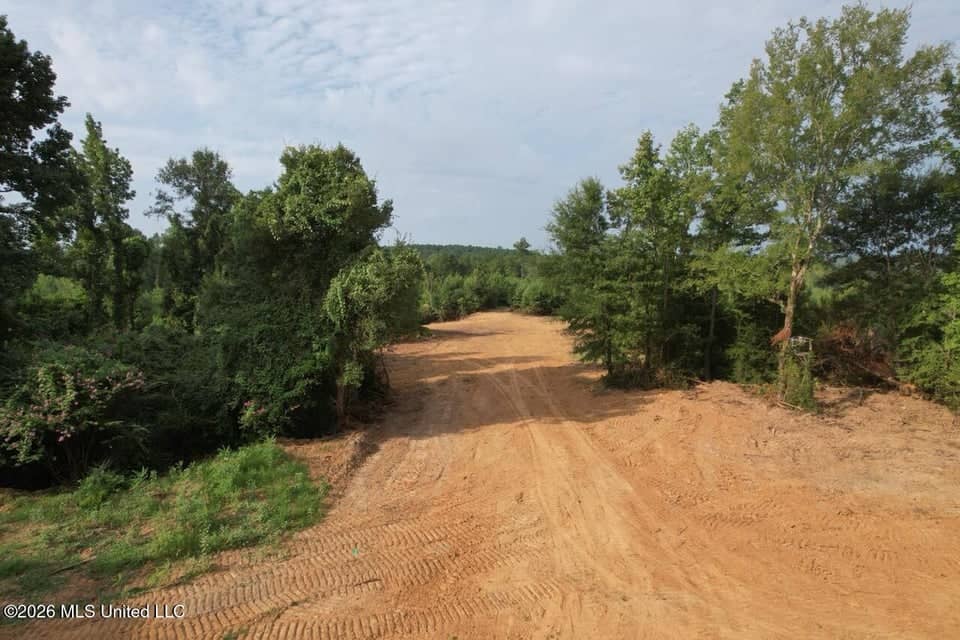 90± Acre Hunting Tract for Sale in Meadville, MS