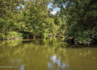 150 Acres for Sale in Magnolia MS on Tangipahoa River