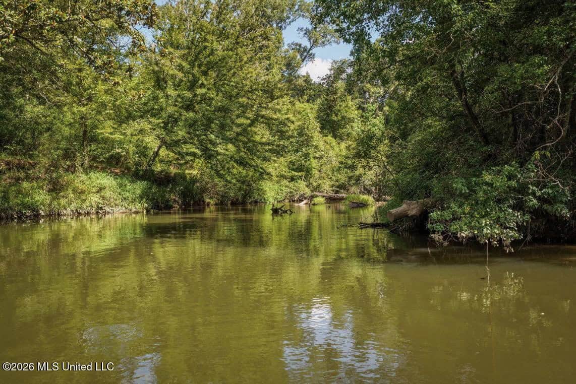 150 Acres for Sale in Magnolia MS on Tangipahoa River