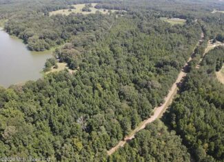 81-Acre Timber Property on 20-Acre Lake in Vaughan, MS