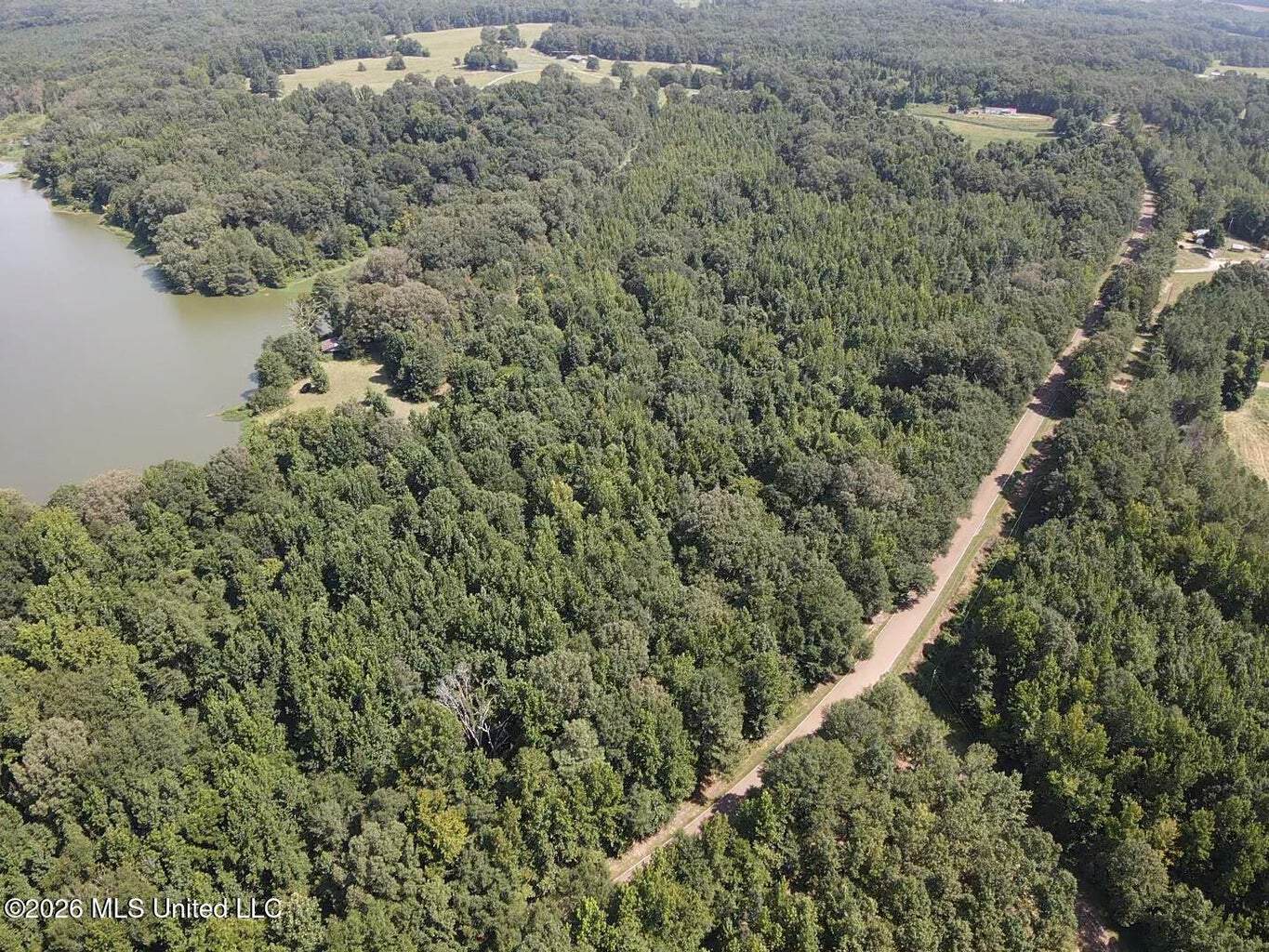 81-Acre Timber Property on 20-Acre Lake in Vaughan, MS