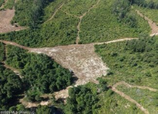 42± Acre Homesite & Hunting Land in Plainview, LA