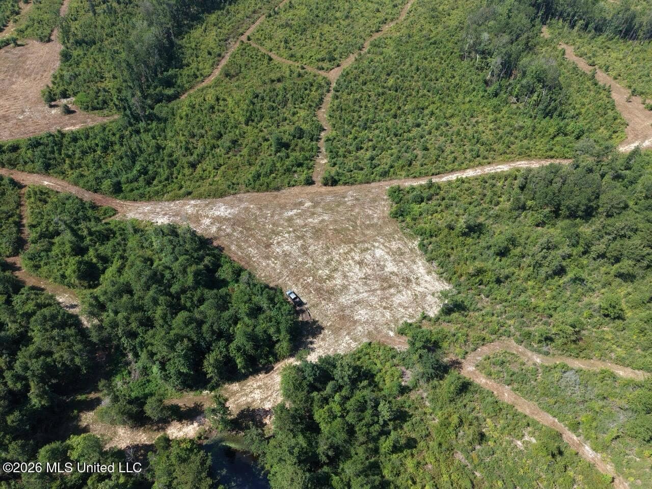 42± Acre Homesite & Hunting Land in Plainview, LA