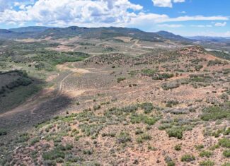 35 Acres Borders Public Land near Collbran, CO