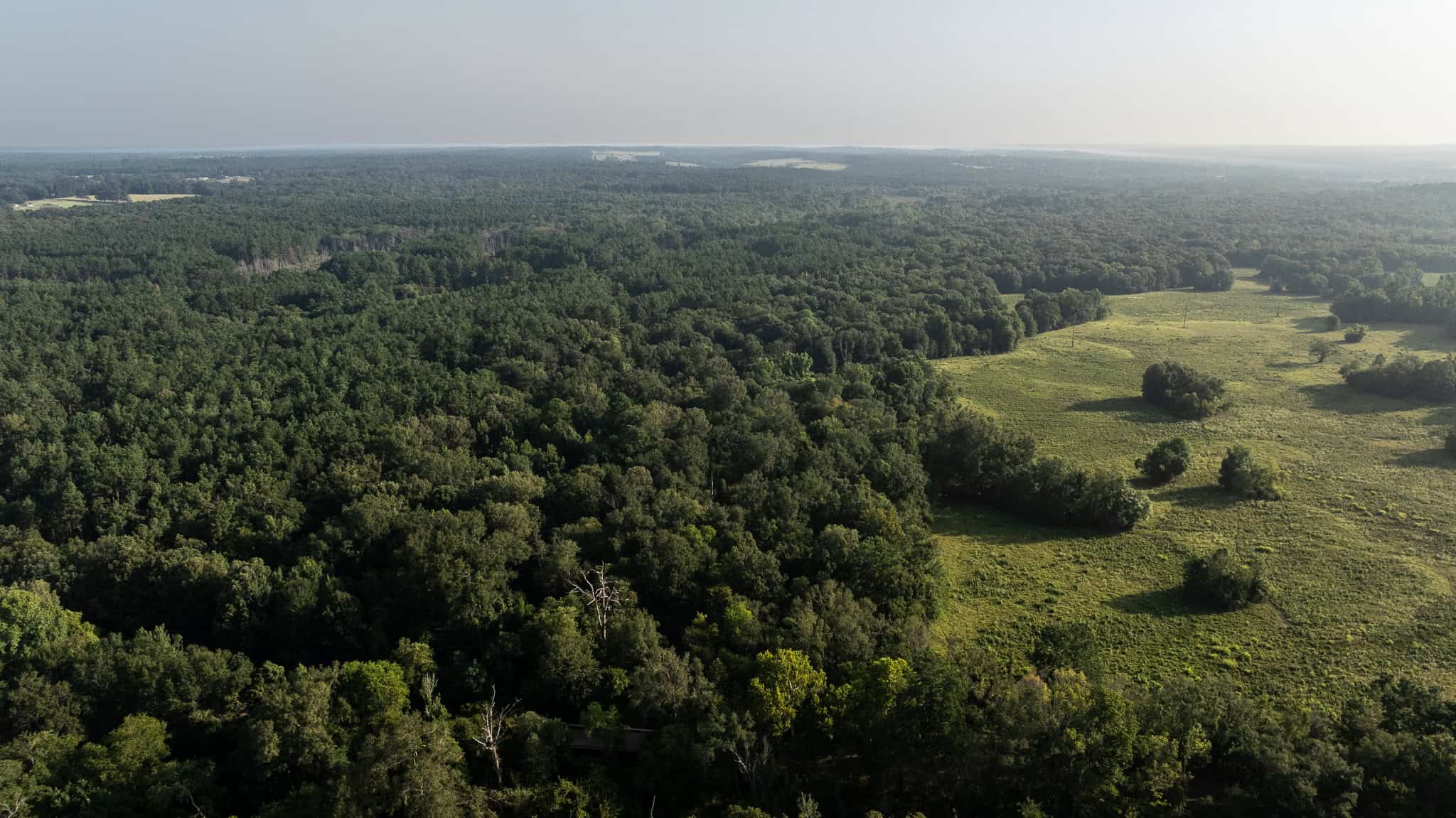 East TX Hunting Land for Sale | 327 Acres | River & Duck Slough | Laneville TX