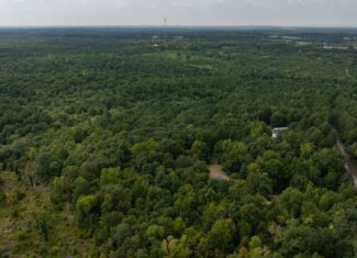 East Texas Hunting & Timber Land for Sale in Smith County