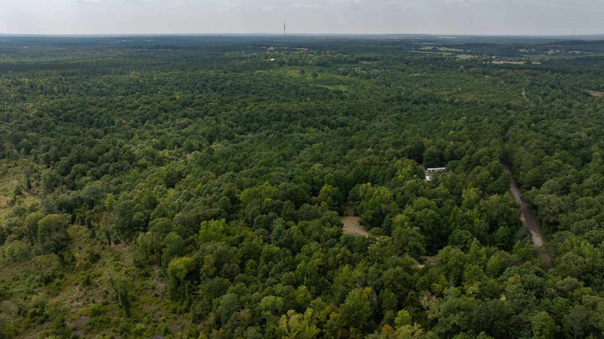 East Texas Hunting & Timber Land for Sale in Smith County
