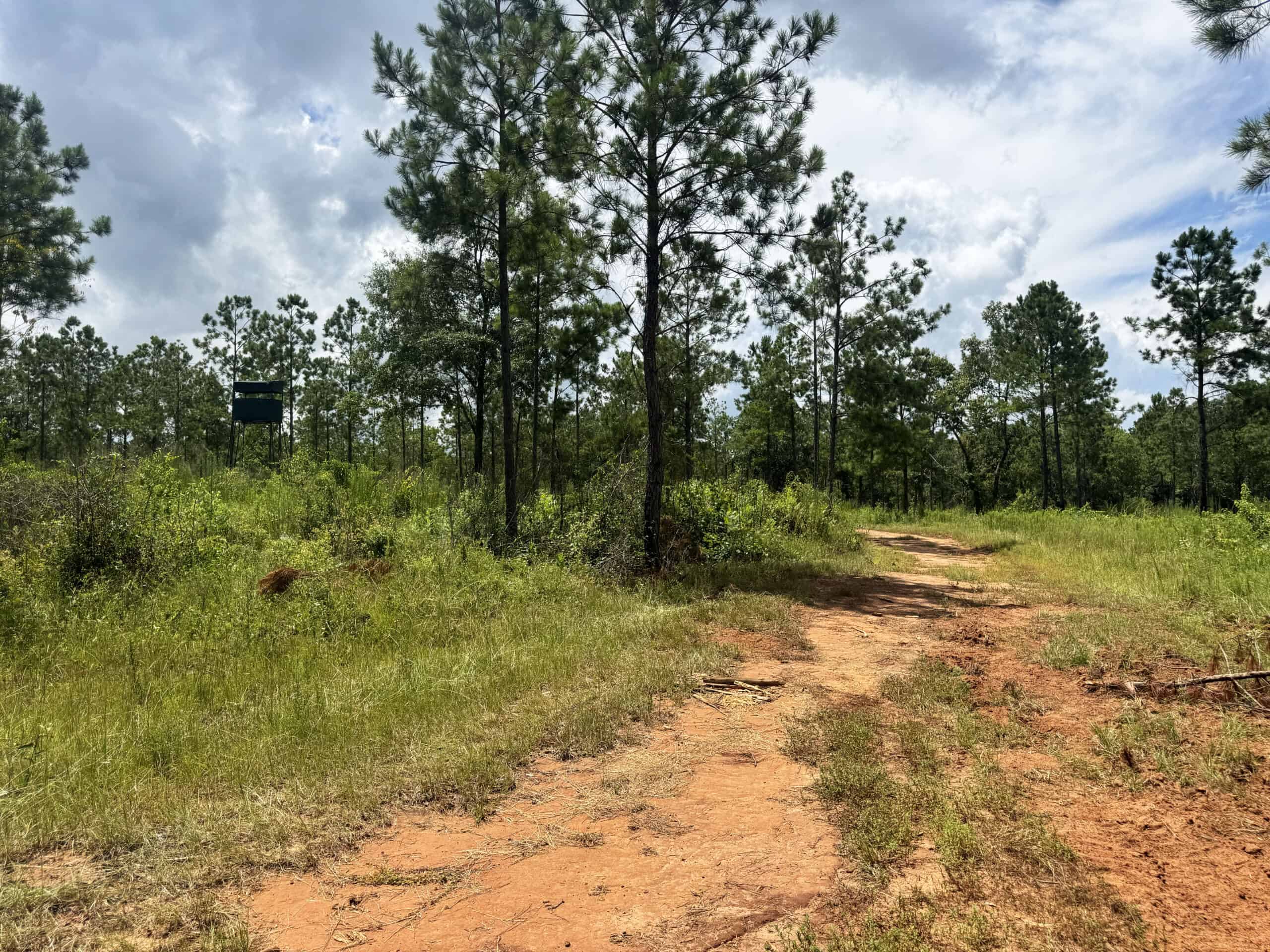 Discover an outstanding 130-acre recreational and hunting property in Stewart Cty