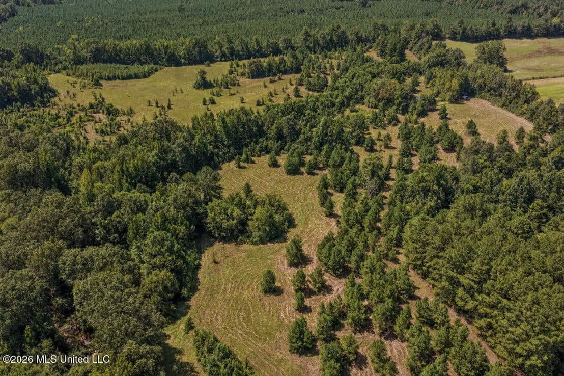 52.25± Acres in Copiah County, MS Near Hazlehurst
