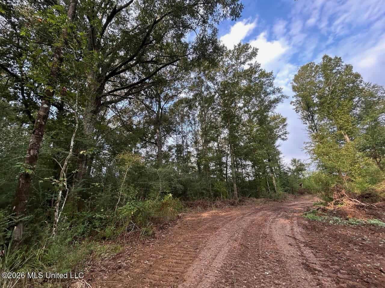 82± Acre Hunting Property in Wilkinson County, MS