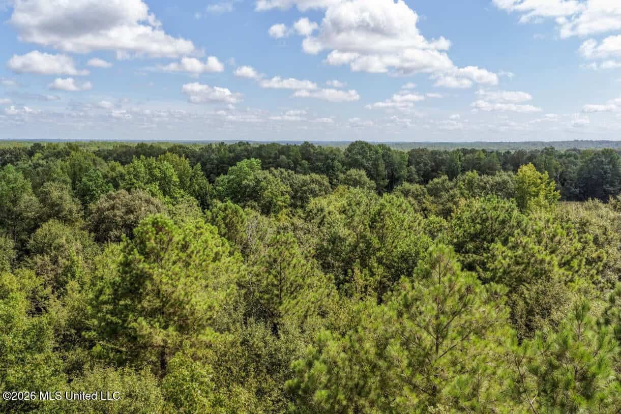 HWY 49 Land for Sale Simpson County, MS