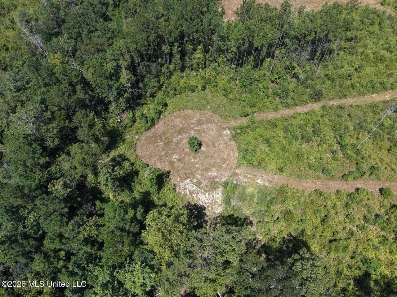 147± Acre Hunting Property in Plainview, LA