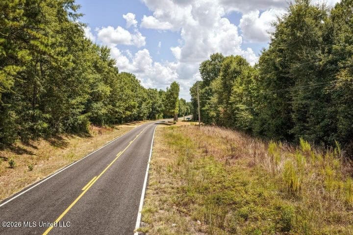 31 Acres for Sale Near Collins MS | Mature Timber & Hunting