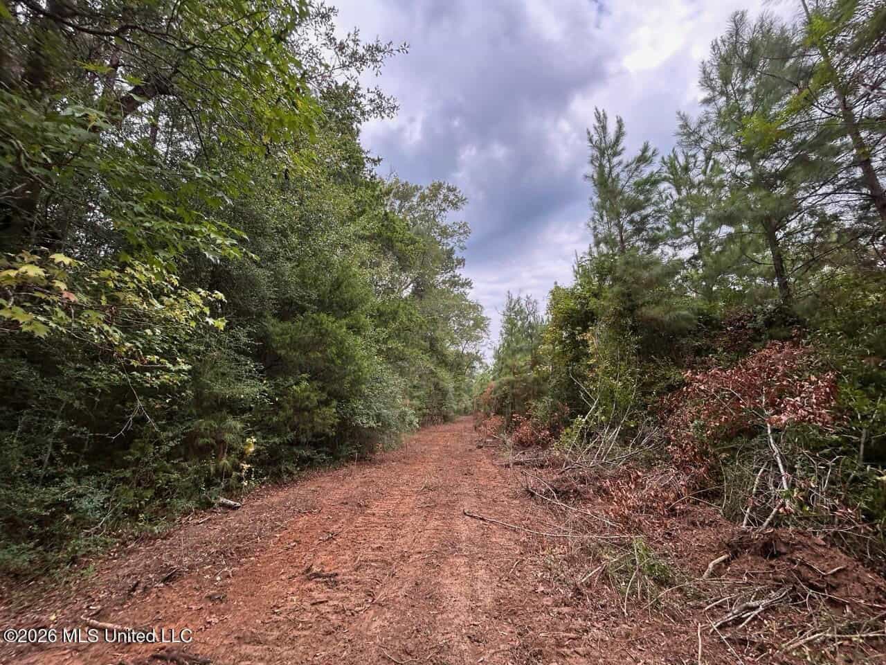 53± Acre Hunting Property Near Centreville, MS