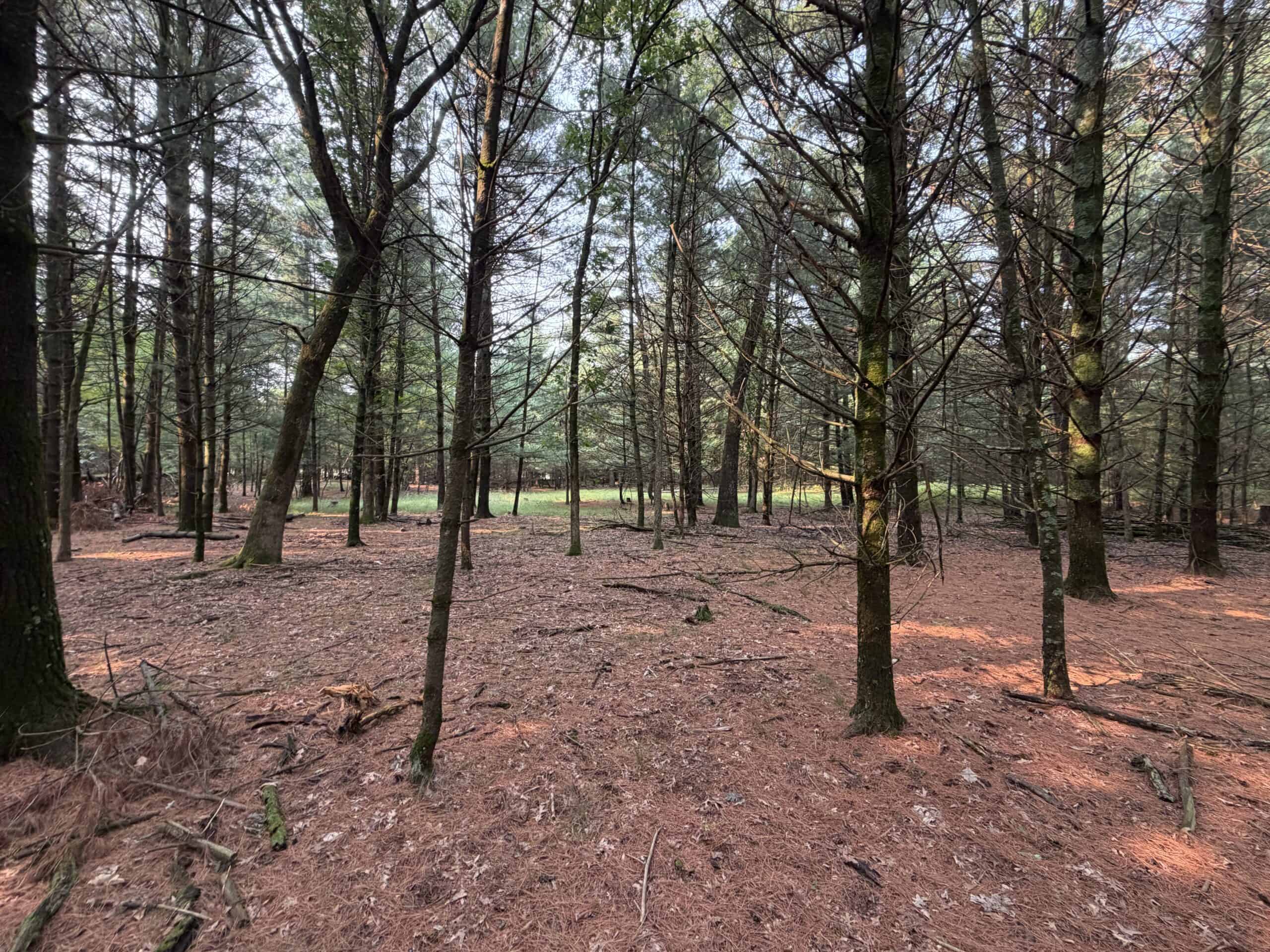 Rare opportunity to own 17.54 wooded acres within the City of Adams
