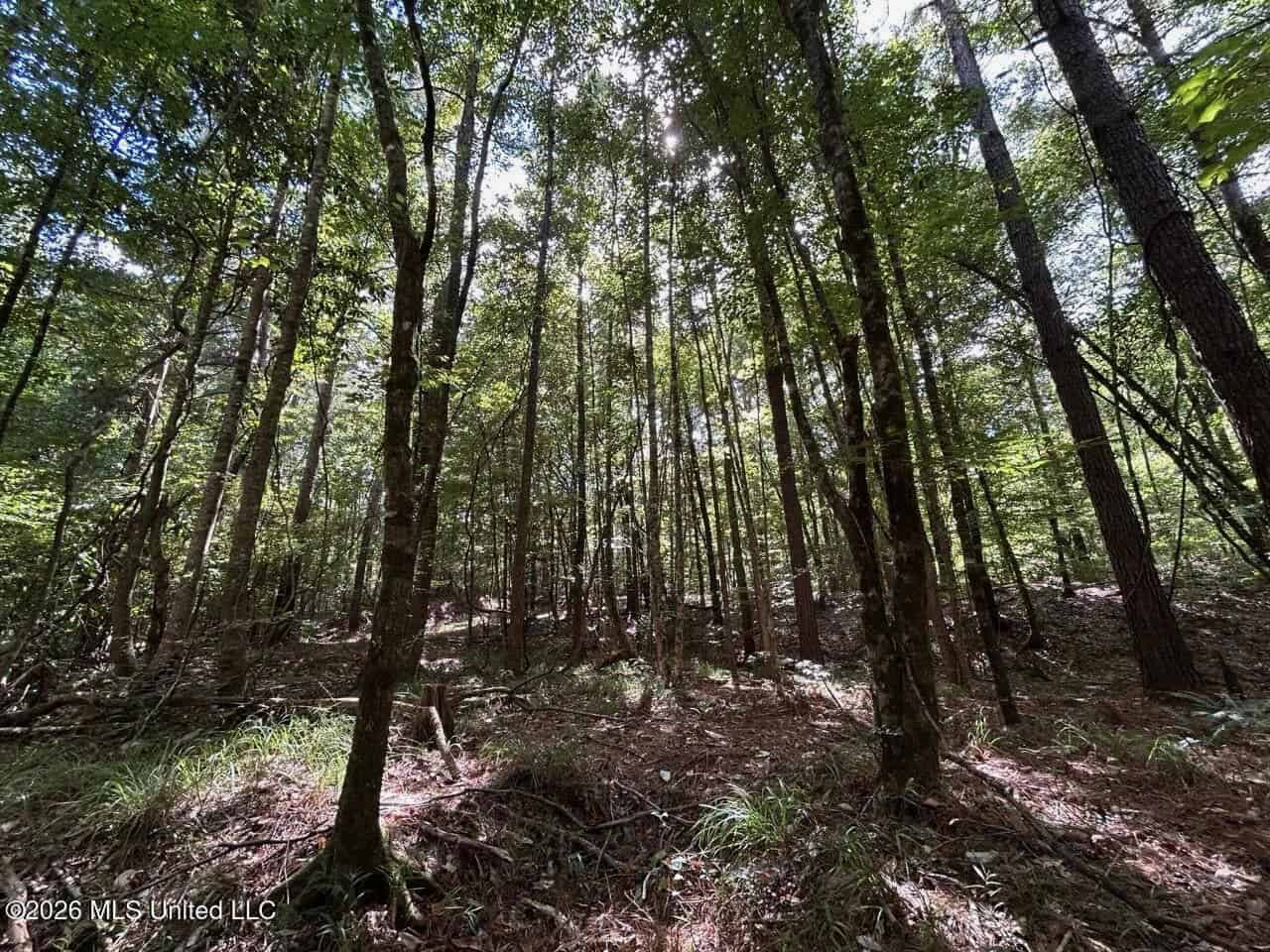 FRANKLIN COUNTY LAND FOR SALE NEAR McCALL CREEK