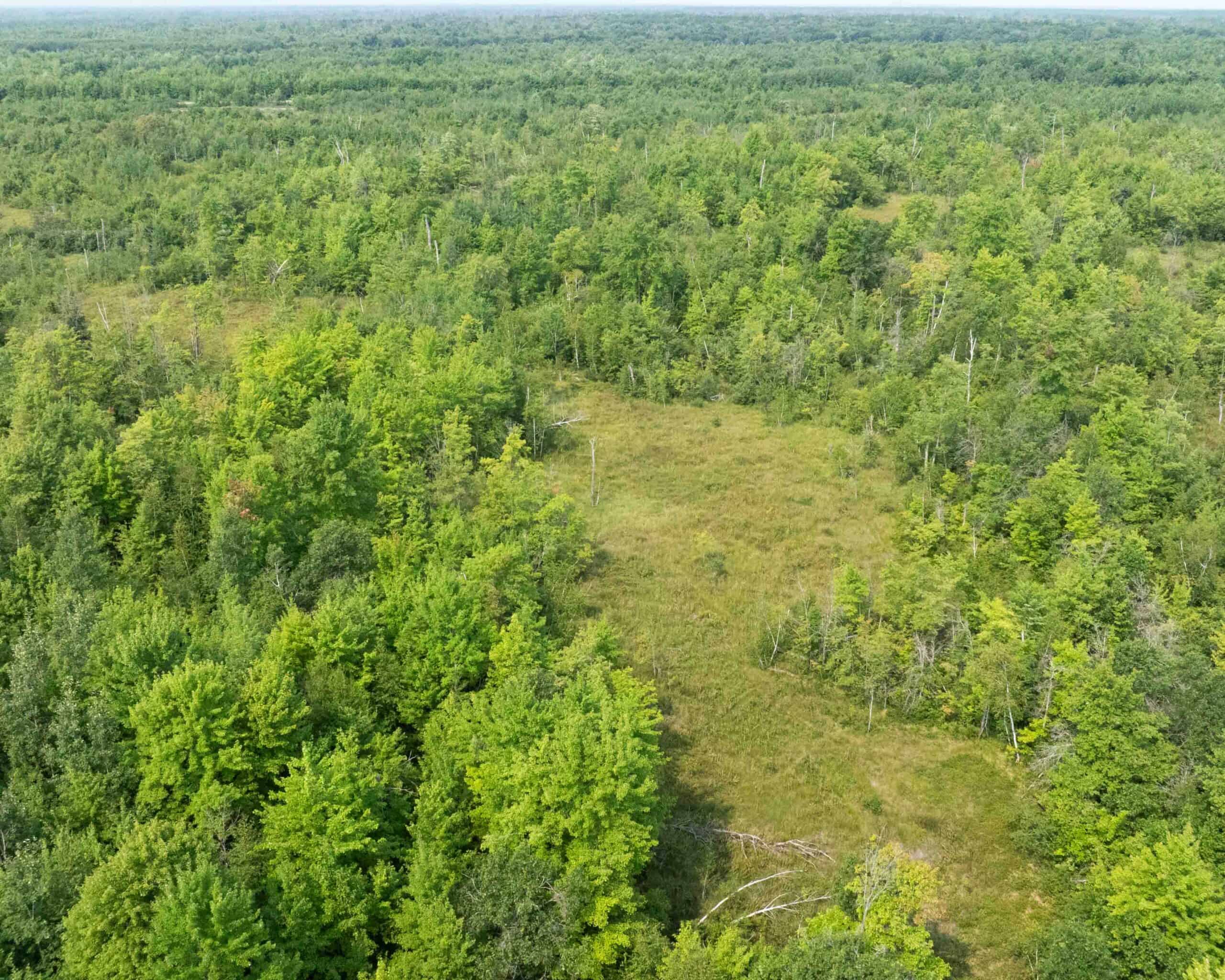 Juneau County WI 80 Acre Camp For Sale