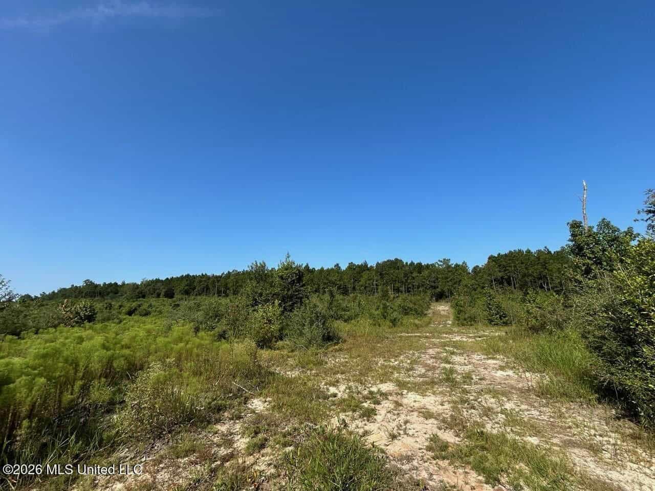 50± Acre Homesite & Hunting Land in Plainview, LA