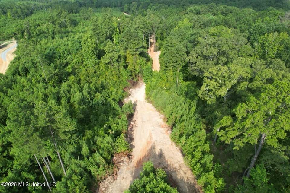 90± Acre Hunting Tract for Sale in Meadville, MS