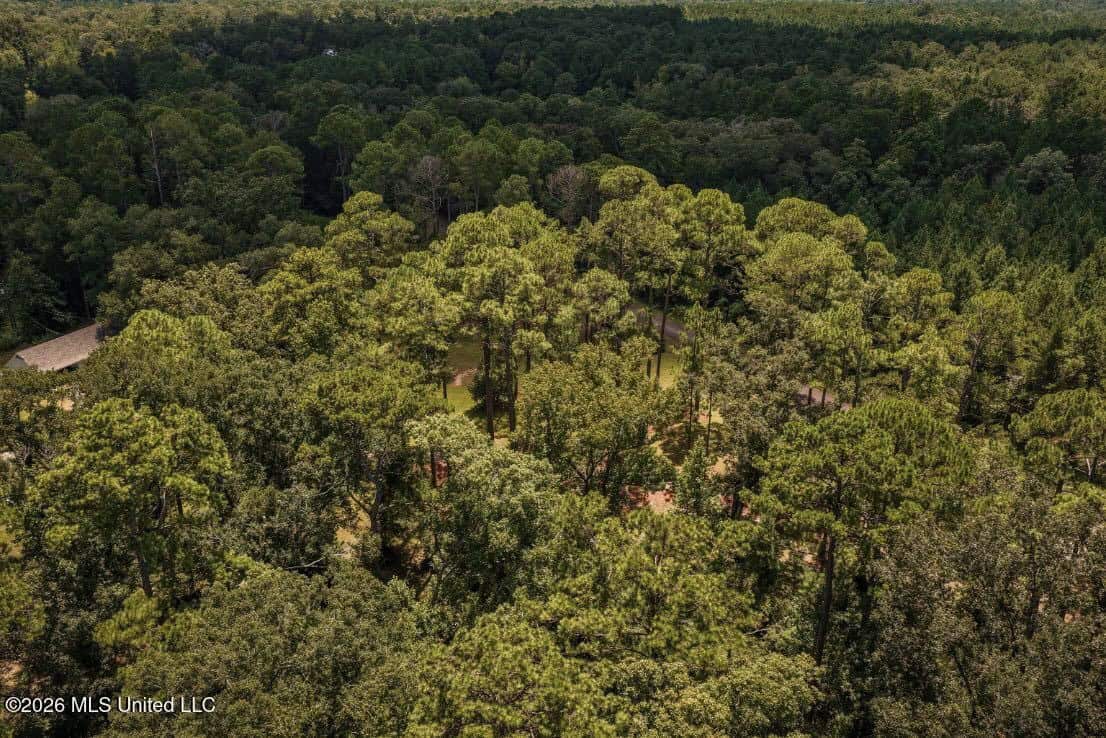 20 Acres for Sale Magnolia MS with Barn & Mature Timber