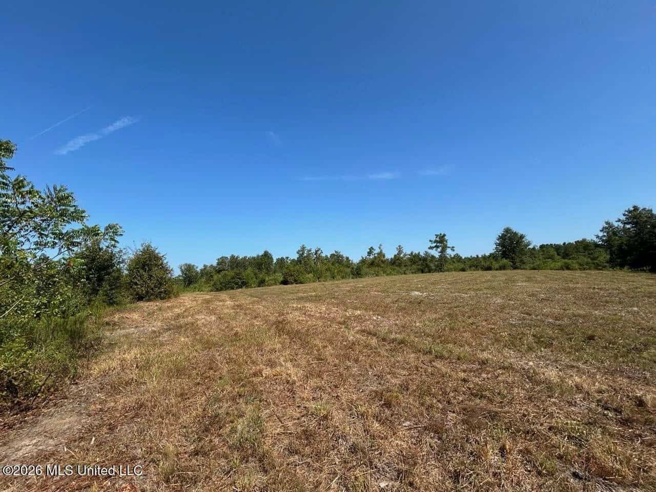 42± Acre Homesite & Hunting Land in Plainview, LA