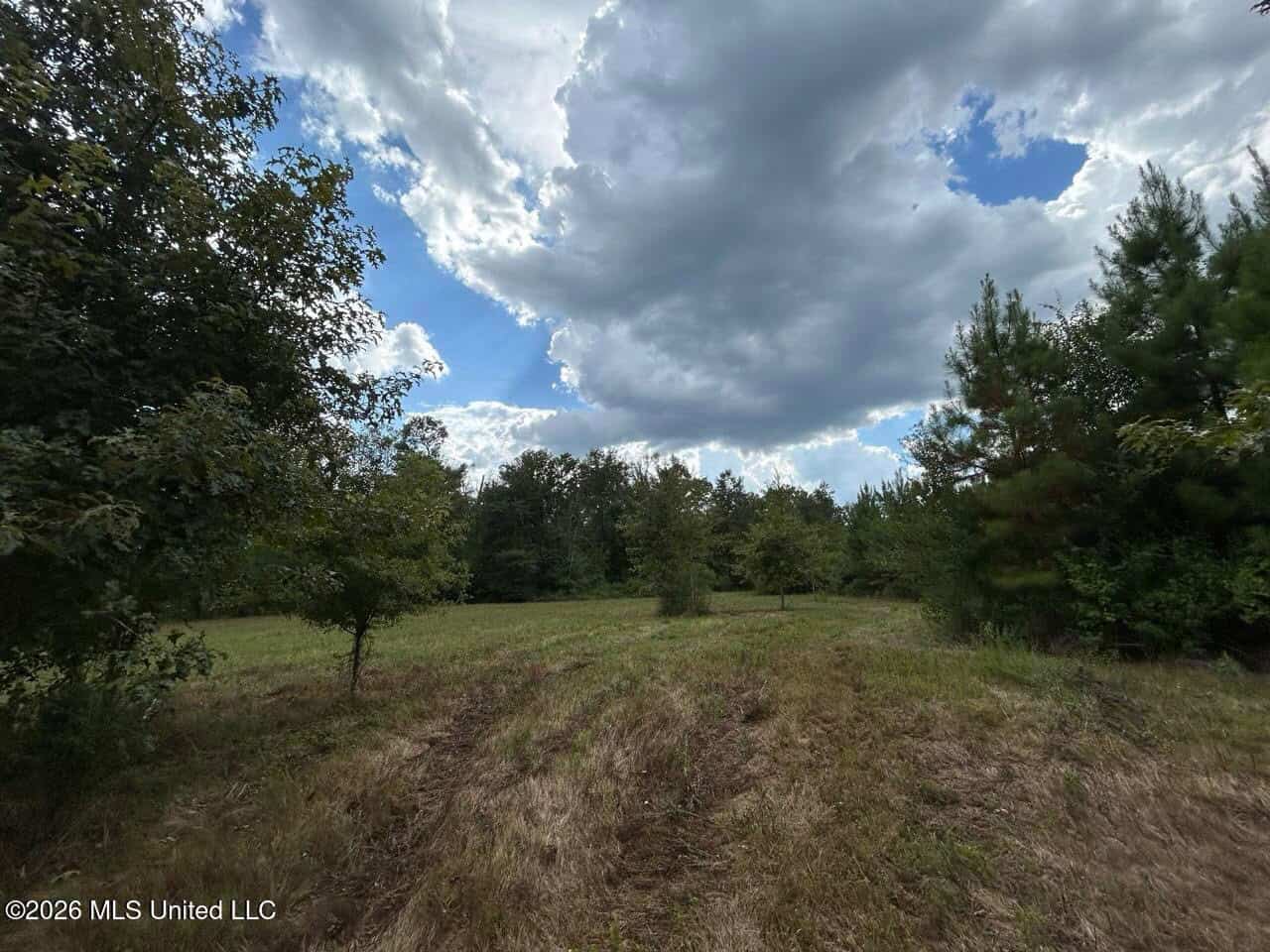 85± Acre Turnkey Hunting Property in Amite County, MS