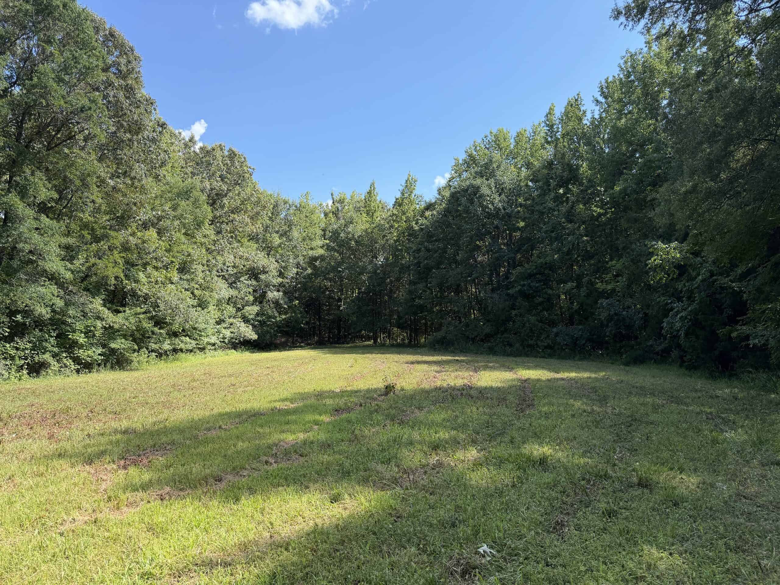 ESTATE FOR SALE IN TN, 56 AC, DEER & TURKEY HUNTING, CREEK, FIELDS, BARN