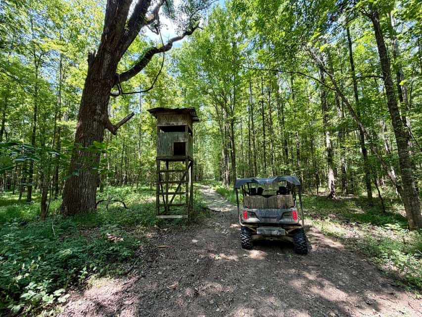 Union County Hunting & Timberland