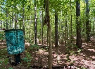Hunting & Timberland in North Mississippi