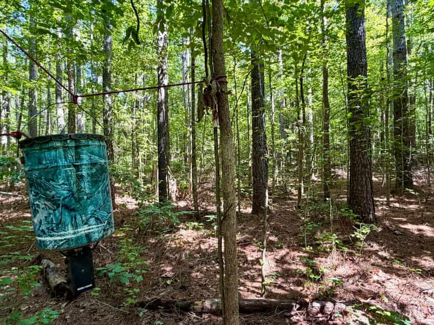 Hunting & Timberland in North Mississippi
