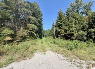 Hunting & Timberland in North Mississippi