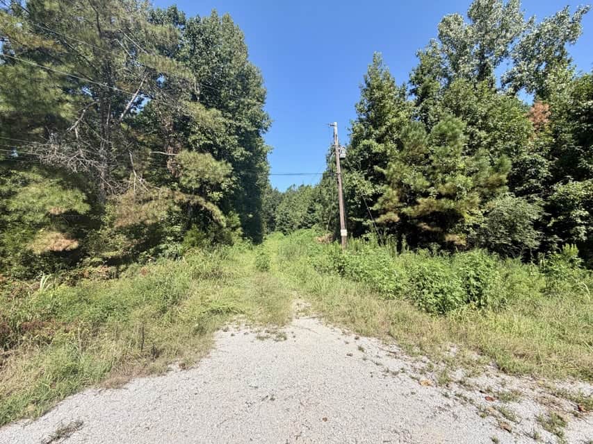 Hunting & Timberland in North Mississippi