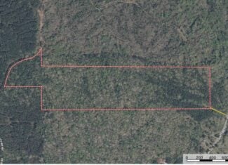 Hunting & Timberland in North Mississippi