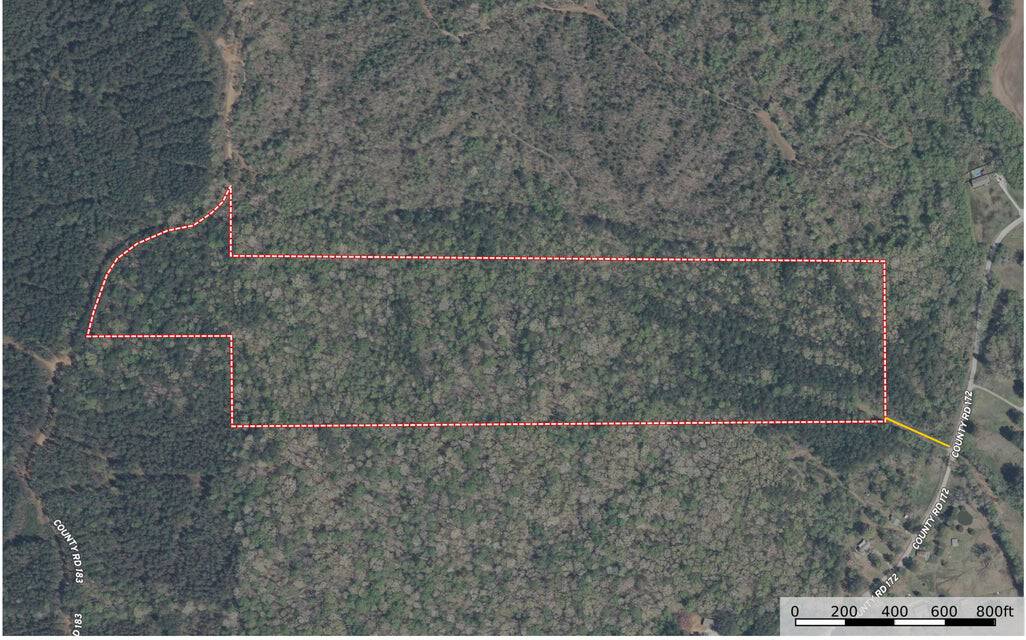 Hunting & Timberland in North Mississippi