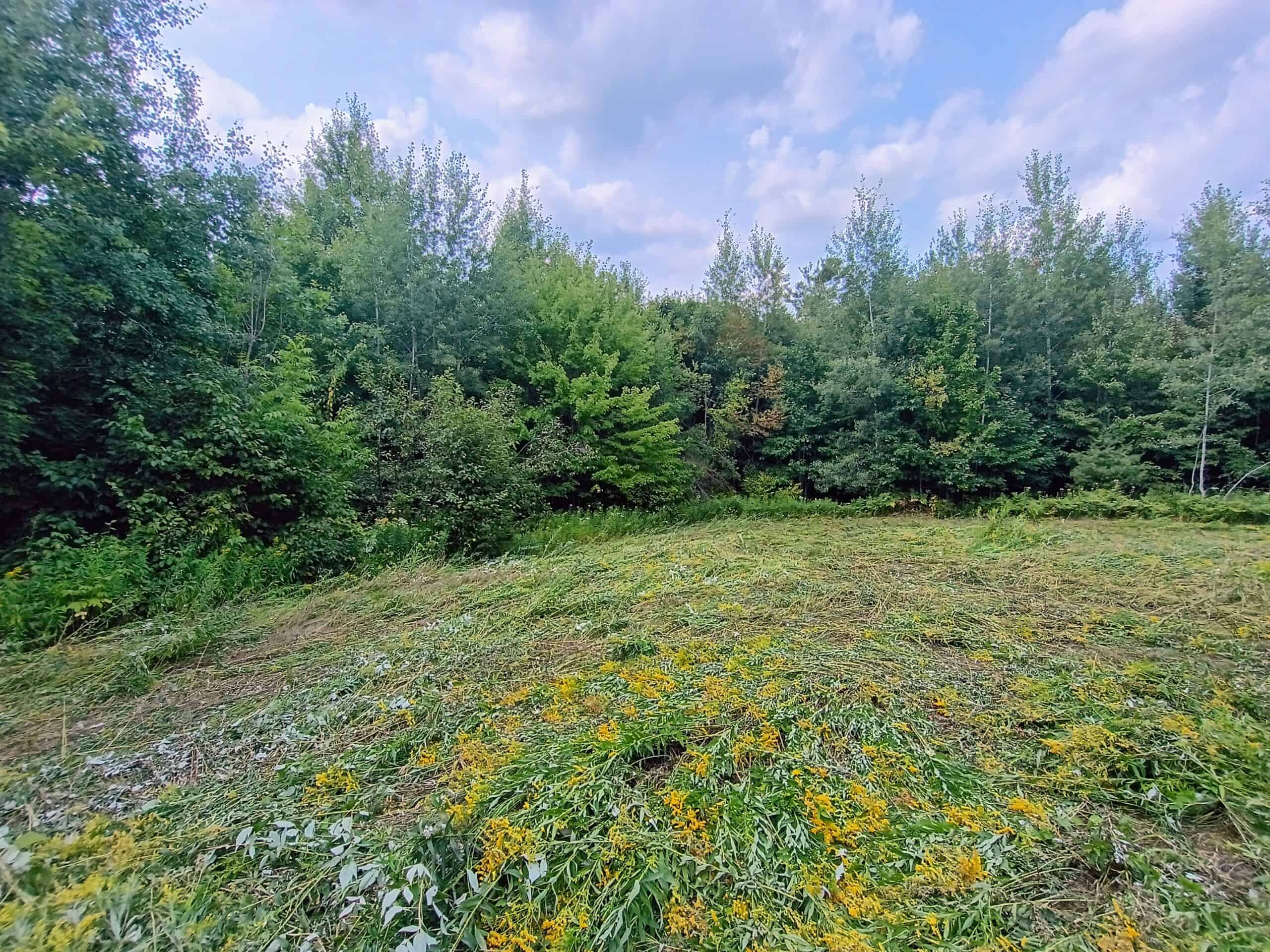 280 ± Acres Near Butternut Lake, WI Recreational Land