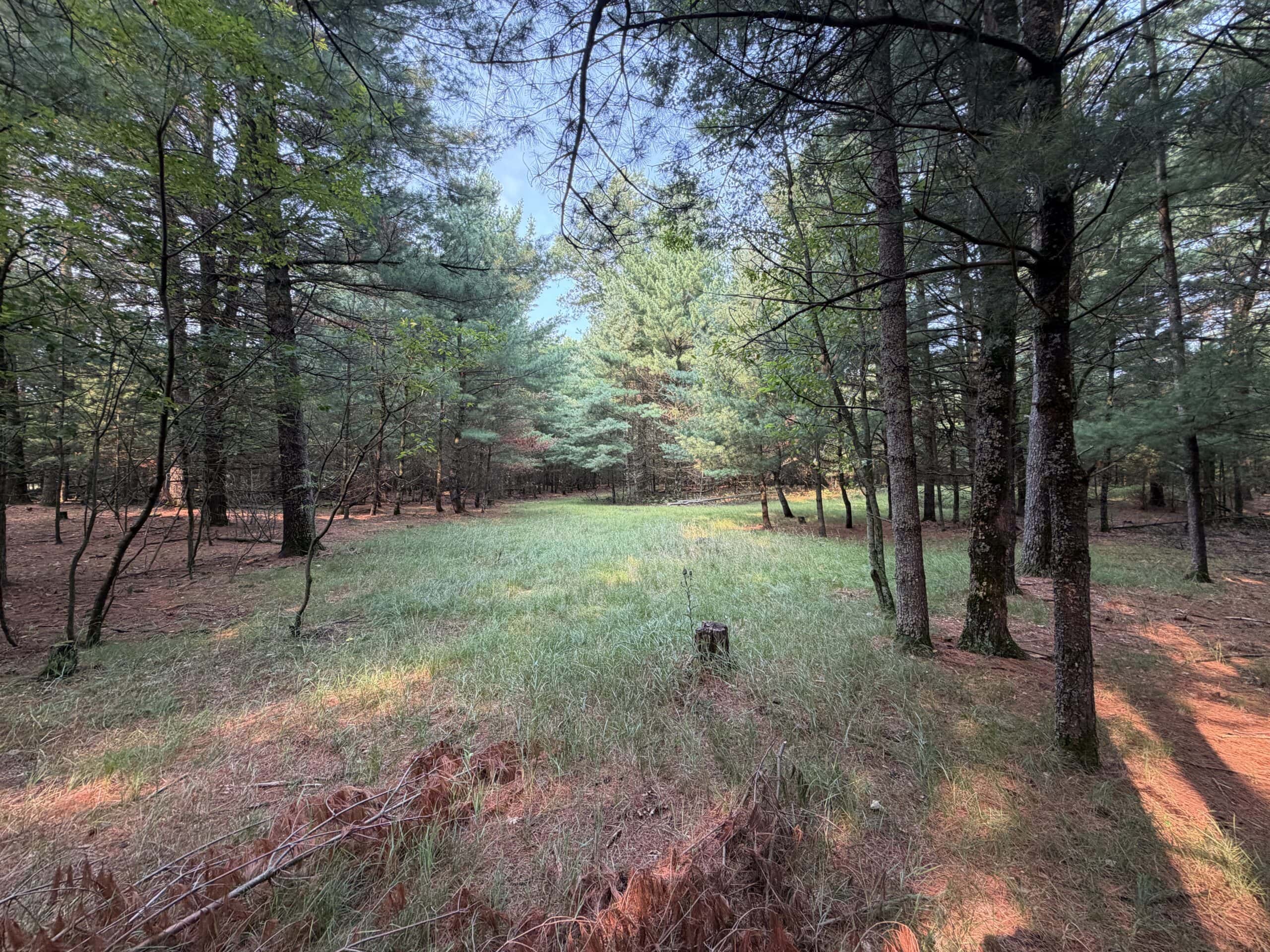 Rare opportunity to own 17.54 wooded acres within the City of Adams