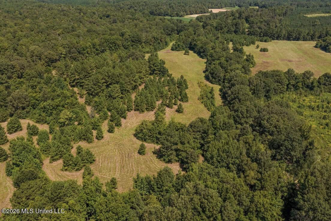52.25± Acres in Copiah County, MS Near Hazlehurst